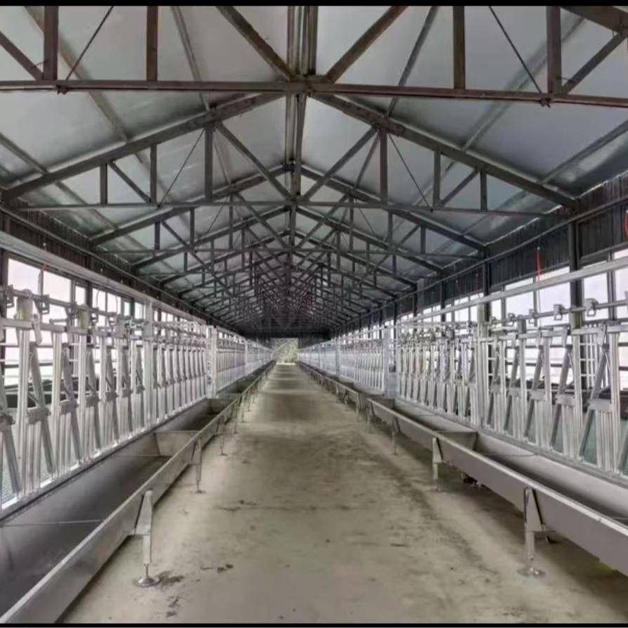 蜜蜂箱格子箱中蜂土养格子箱蜜蜂养殖工具诱蜂桶全套杉木烘干煮蜡