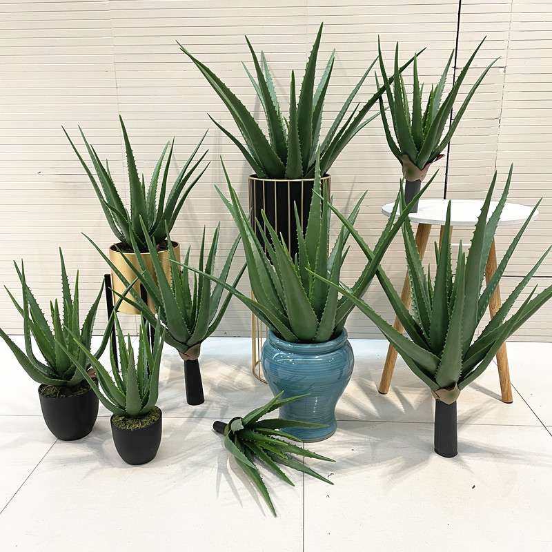 仿真芦荟盆栽多肉植物手感胶芦荟多肉绿植盆景仙人掌室内装饰摆件,电子元器件市场,其它元器件,淘宝优惠券,粉丝福利购,淘宝优惠卷