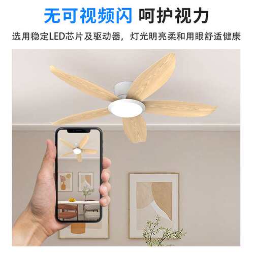2025新款插叶风扇灯简约餐厅办公室风扇吊灯LED调风中山厂家直销