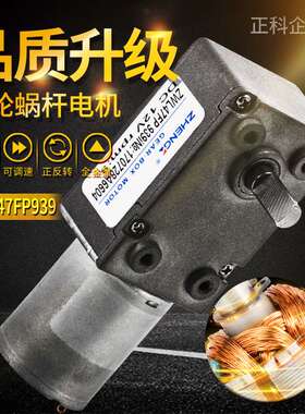 ZHENGK正科 ZWL47FP蜗轮蜗杆小电机大扭力微型直流减速电机12V24V