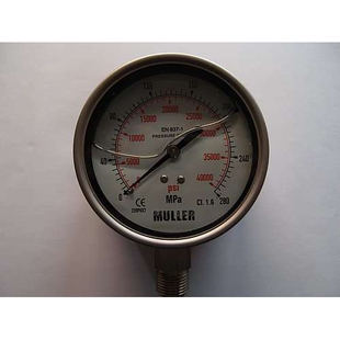上海进口超高压压力表 ML100