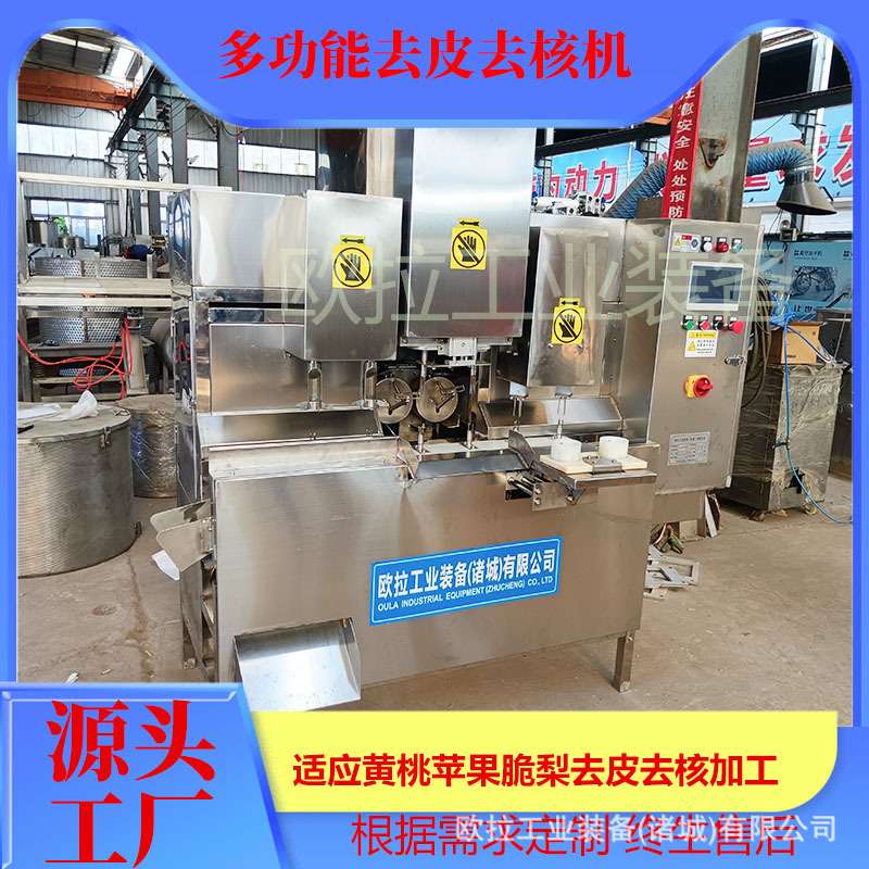 果蔬全自动去核加工生产 果蔬片冻干去核切片 水果去皮去核机