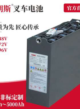 火炬蓄电池组12-4DB280 合力叉车CDD16L用电瓶组24V280Ah