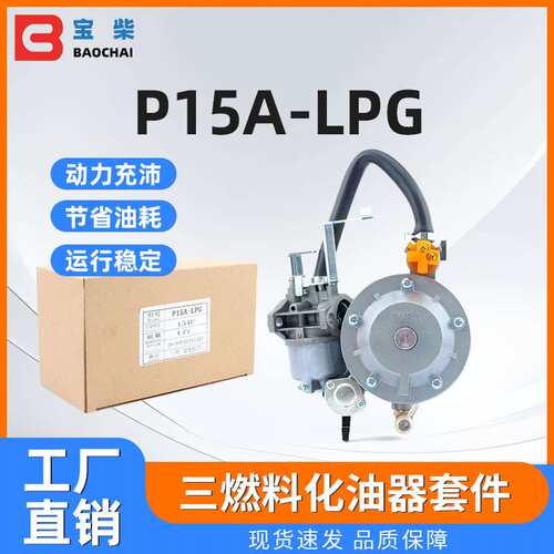 P15A-LPG三燃料化油器套件 GT241 154F 156F 发电机零件