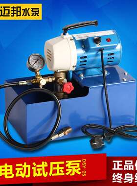 手提式3dsy-25/60/100超高压电动试压泵双缸铸铜2.5MPA试压泵电动