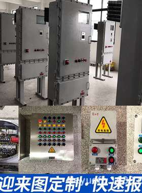 非标防爆配电箱/ 户外防雨IP66/ 三防电柜/防爆等级EXdIIBT4