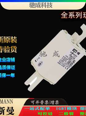 巴斯曼170M3196 170M3197 170M3198 销售供应零售  伊顿熔断器