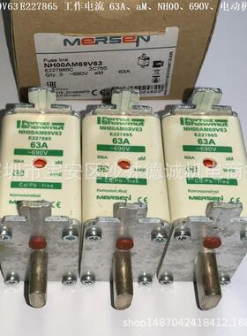 NH1AM69V400 B227977 熔断器 400A、NH1、aM、690Vac、电动机保护