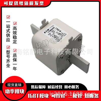 170M6689 170M6690 170M6691 170M6692 170M6693巴斯曼熔断器现货