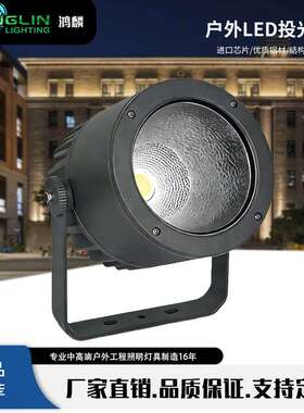 厂家直销led户外亮化LEDCOB50W投射灯防水户外桥梁园林投光灯