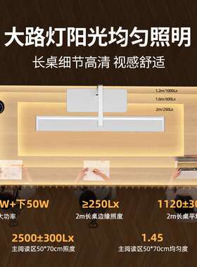 护眼大路灯学习学生宿舍阅读儿童工作书桌智能台灯R01-70W