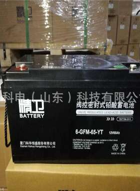 内蒙古科华蓄电池精卫系列6-GFM-65-YT 12V65AH铅酸免维护蓄电池