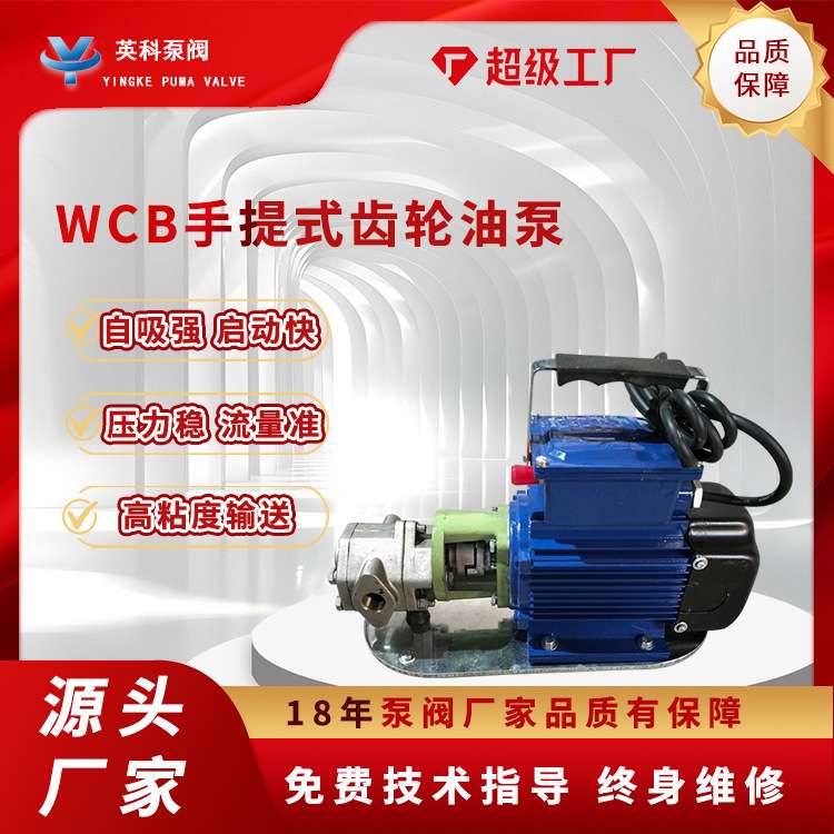 手提式齿轮油泵WCB-50齿轮泵小型不锈钢卸柴油液压机油220v防爆