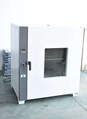 GZX-GF101-0-BS-II电热恒温鼓风干燥箱  GZX-GF101-1-BS-II干燥箱