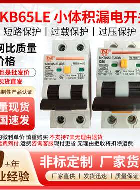 南冠NKB65LE系列 2P小体积漏电开关漏电保护器微型佛山现货直发