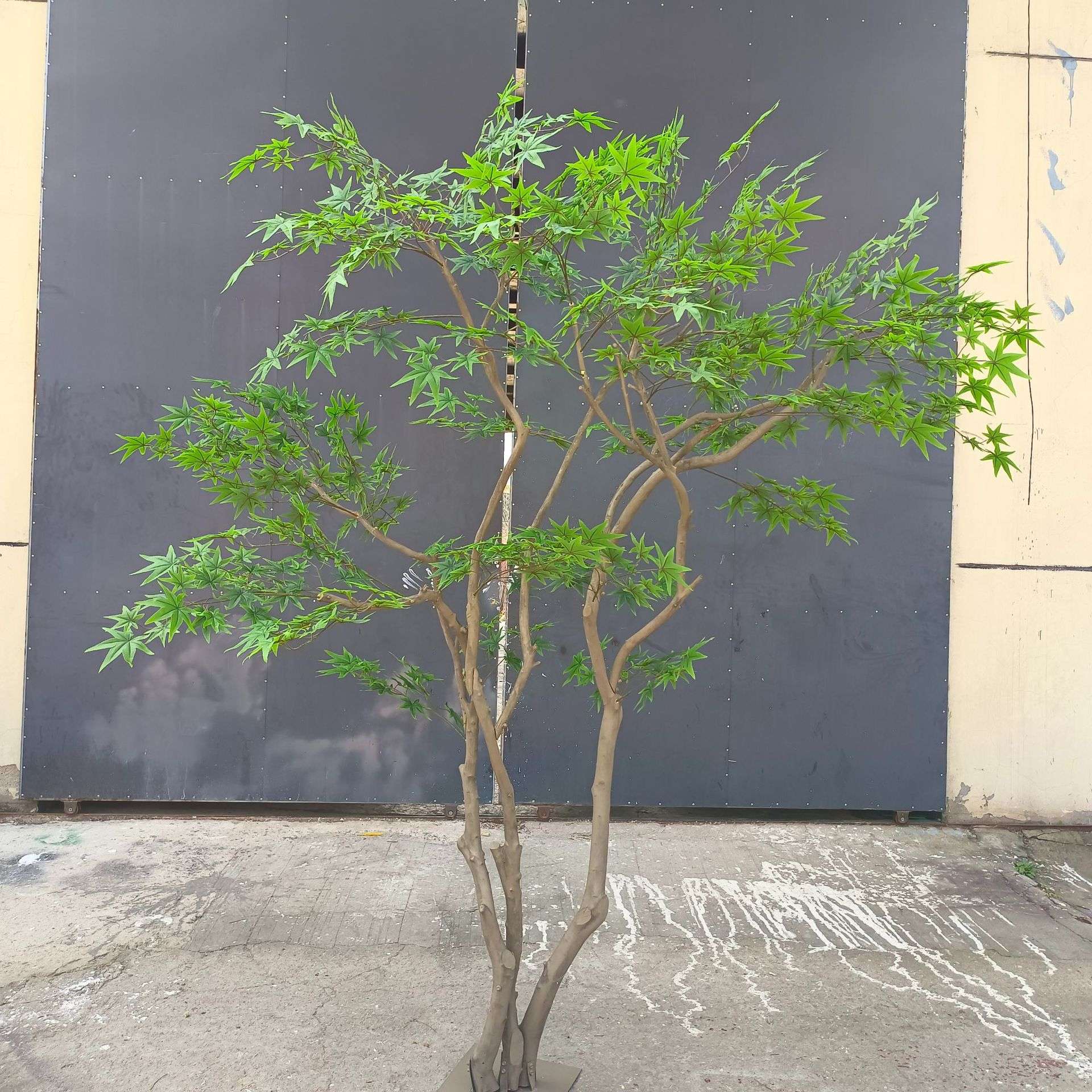 大型仿真树青枫枫树室内外枯山水造景装饰景观盆栽仿真植物鸡爪槭