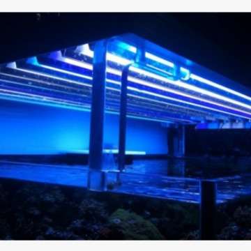 宇杰灯盘 T5HO Silver Ceiling 灯架60 90 120 150CMT5海水灯盘