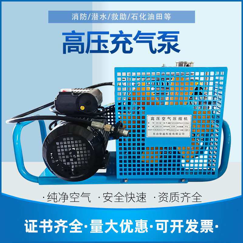 厂家 潜水气瓶高压充气泵打气机空气呼吸器充气泵压缩机30mpa