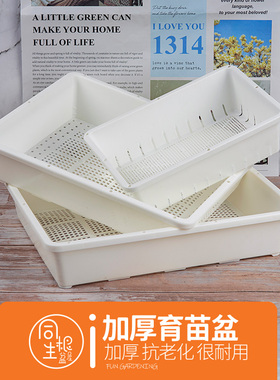 白色加厚多肉育苗盆带盖叶插播种器育苗盘L小号托盘闷养花盆收纳