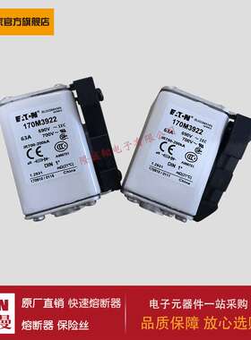 熔断器170M3923 170M3924 170M3925 170M3926 170M3927 170M3928