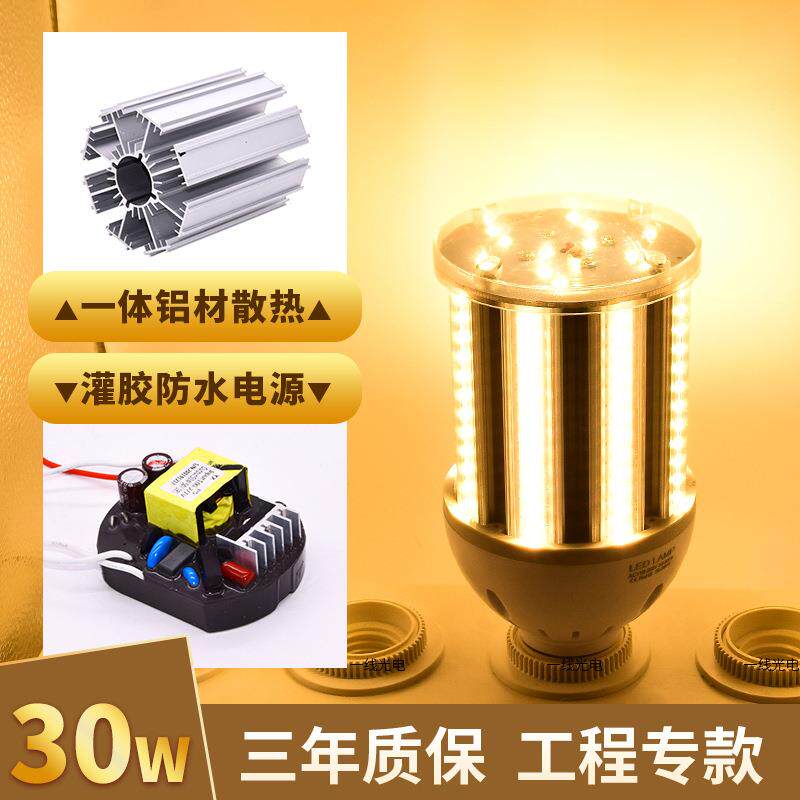 工程款品质铝材LED玉米灯30w灯散热抗浪涌驱动玉兰灯 庭院灯光源