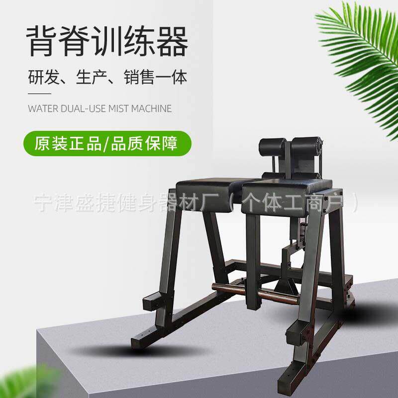重型罗马椅山羊挺身凳健身房商用多功能腹背训练器俯卧反向抬曲腿