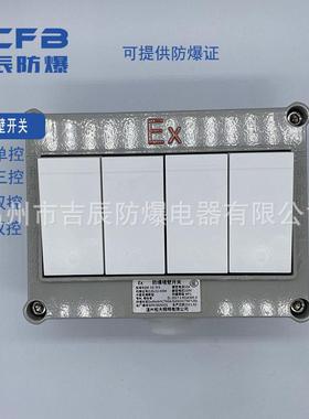 防爆开关BQM-10/IVS防爆墙壁开关ExdIICT6四开双控电流10A电压220