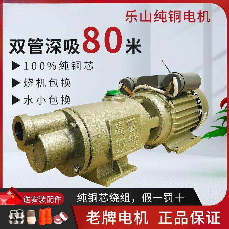 深井自吸泵家用全自动高扬程螺杆自吸泵单相大吸力抽水机220V乐山