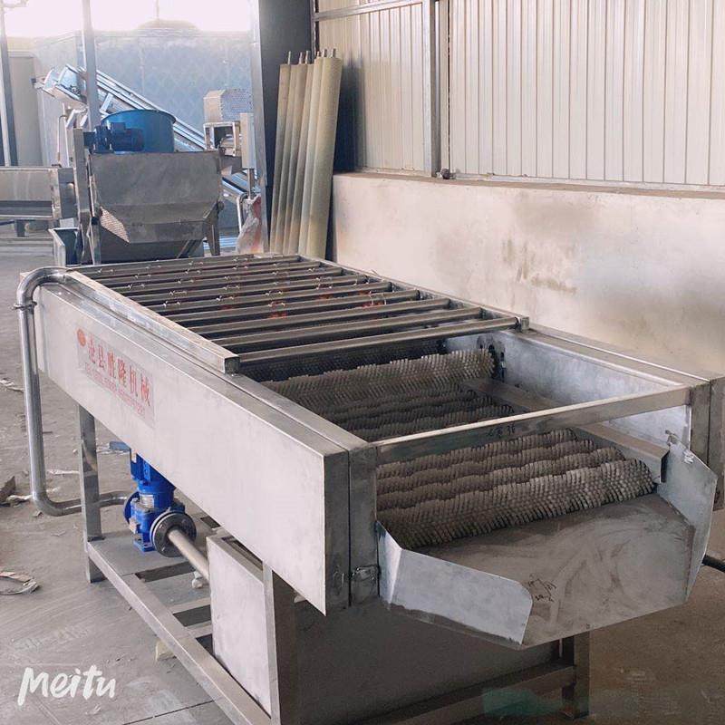 苹果毛辊清洗机果蔬清洗脱去皮适用于蔬菜水果清洗厂家供应,清洗/食品/商业设备,其他食品加工设备,淘宝优惠券,粉丝福利购,淘宝优惠卷