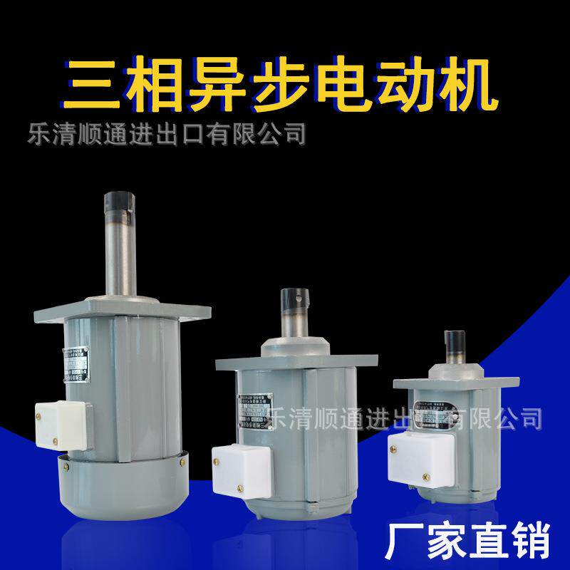 YDT60-2液压抱闸微型电机B062Z 60W微型三相异步电机YWZ推动器