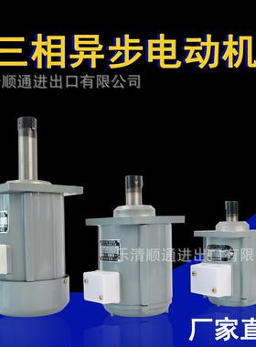 YDT60-2液压抱闸微型电机B062Z 60W微型三相异步电机YWZ推动器