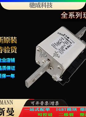 巴斯曼170M5745 170M5810 170M5809 大量现货厂价销售 特种保险丝