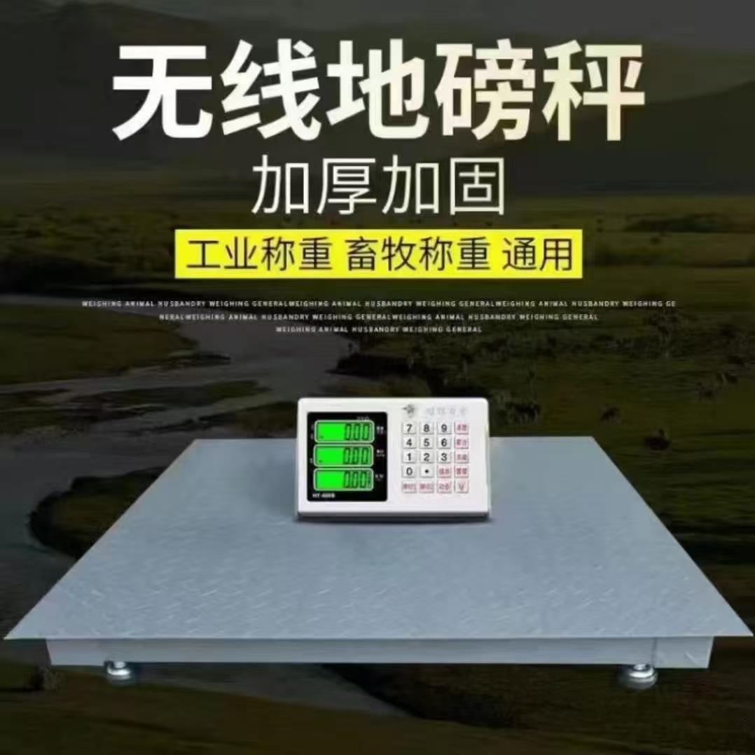 上海耀华地磅秤称猪称牛电子地磅称0-3吨地磅带围栏畜牧地秤