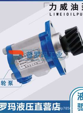 合肥力威 QC20/15-WP6J 汽车油泵 合肥天力方向动力泵转向泵