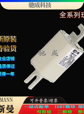 巴斯曼170M3140 170M3141 170M3142 大量现货厂价直供 原装熔断器