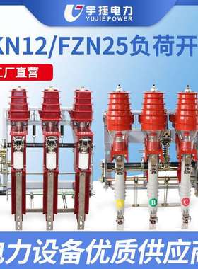 宇捷FKN12FZN25-12RD高压真空负荷开关熔断器组合10KV挂墙熔断式