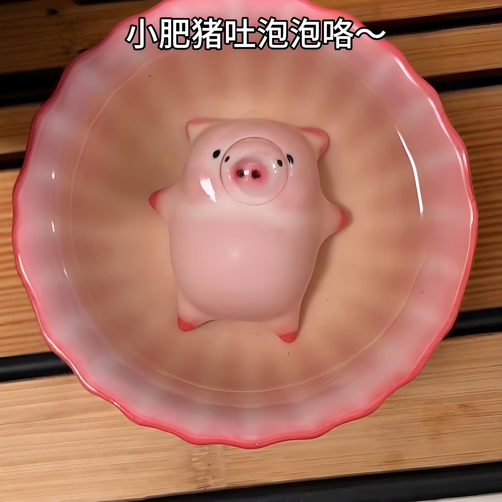 泡泡猪茶宠精品可养摆件
