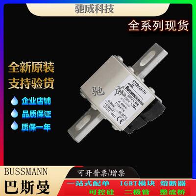 巴斯曼170M3673 170M3675 170M3678 大量现货出厂价格 快速熔断器