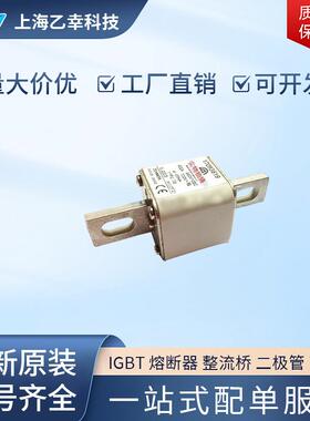 巴斯曼熔断器 170M3693 170M3694 170M3695 170M3696 170M3697