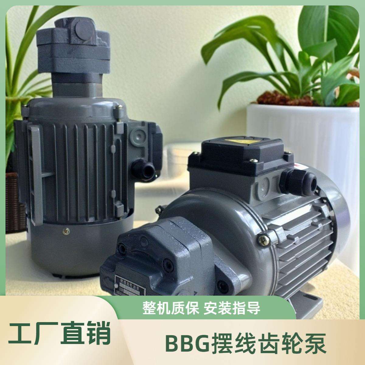 低噪音BBG摆线油泵 内啮合齿轮泵 铸铁防爆摆线齿轮油泵