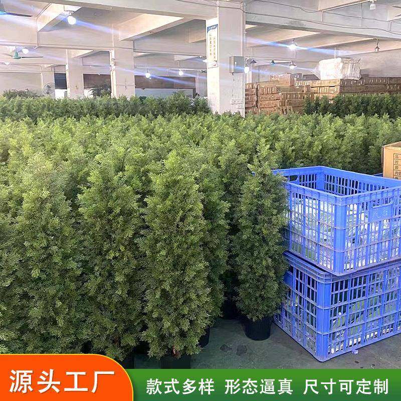 仿真绿植松柏树圣诞树室内家居软装装饰植物造景假树松柏婚庆布置