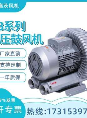 离茨RB-81D-1高压风机养殖池吹气曝气涡轮增压低噪音风机机械设备
