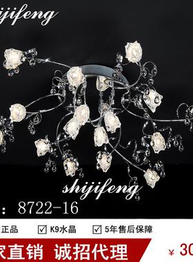 ceiling lamp现代客厅异形灯个性创意大厅卧室餐厅灯具