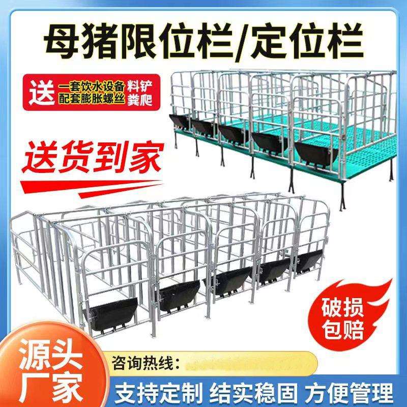 母猪定位栏离地猪用限位栏带复合漏粪板猪圈猪栏养殖单体母猪定位