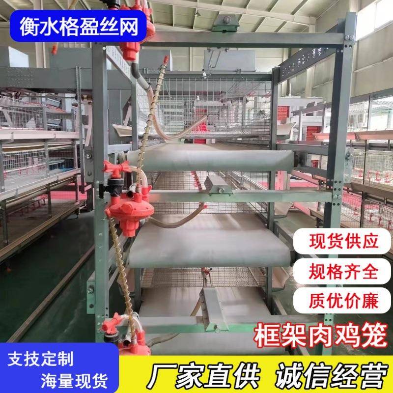 H型框架式自动化蛋鸡养殖笼肉鸡框架笼全套鸡笼设备