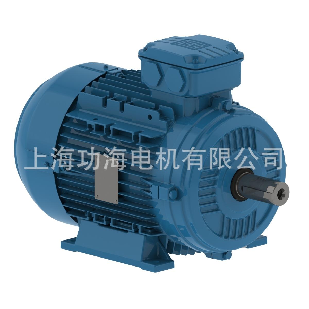 WEG万高 W21系列 IE2 4kW 4P 112M 3F 380-400V 5.Hz