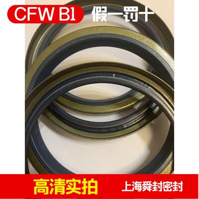 B1FUD4 85 105 10 油封 CFW DIN3760 B 德国外铁壳油封单唇科德宝