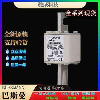 巴斯曼170M3068 170M3069 170M3070 大量现货价格优惠 紧凑熔断器