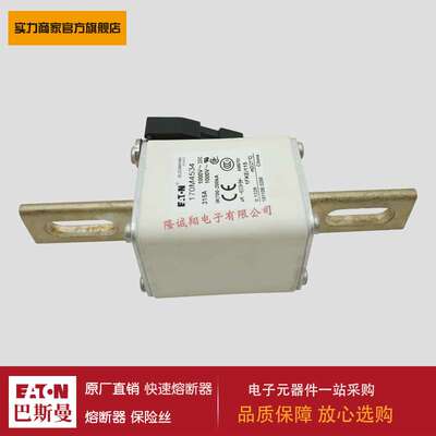 熔断器170M4534 170M4535 170M4536 170M4537 170M4538 170M4539