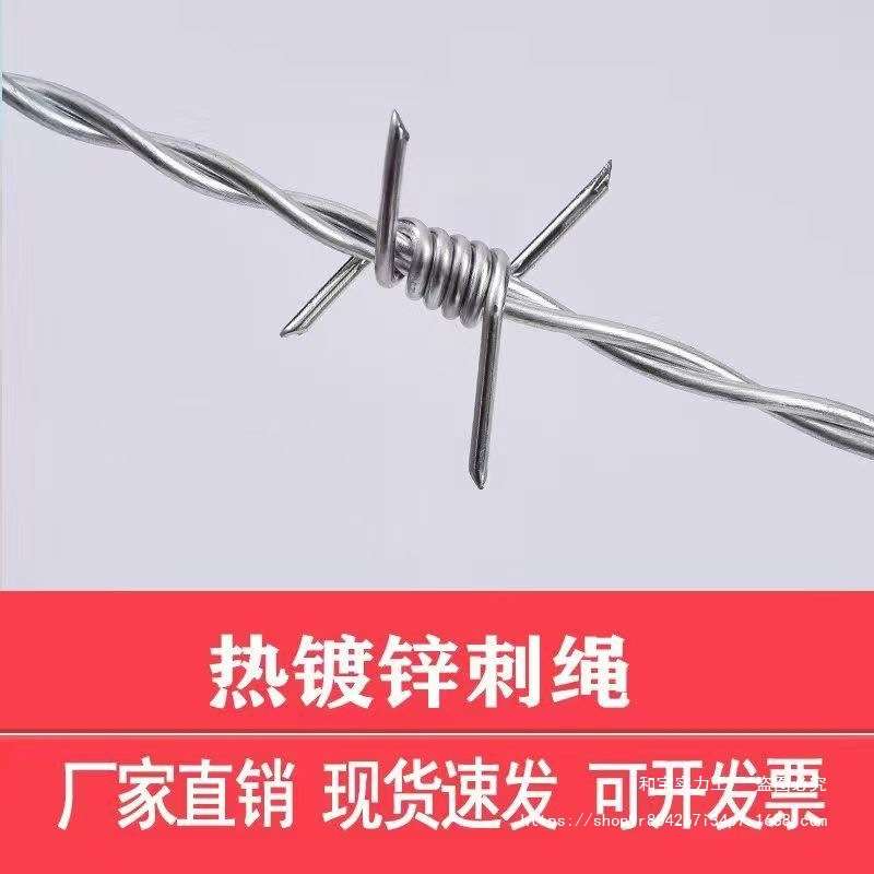 铁丝网围栏刺绳铁丝网防爬带刺护栏热镀锌刺绳刺线加密钢丝铁刺图片